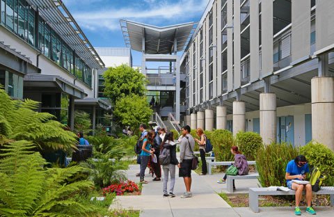 beautiful atrium with bushes and trees