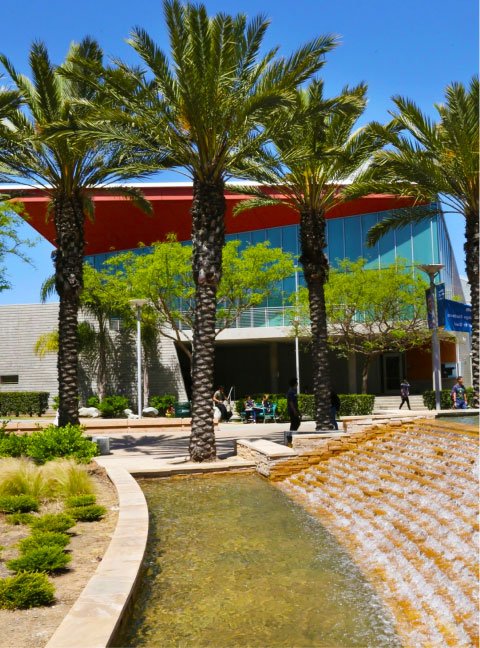 palm trees and fountain with modern building behind
