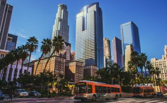tall modern buildings and palm trees