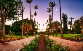 brick sidewalks lined with flowers and trees